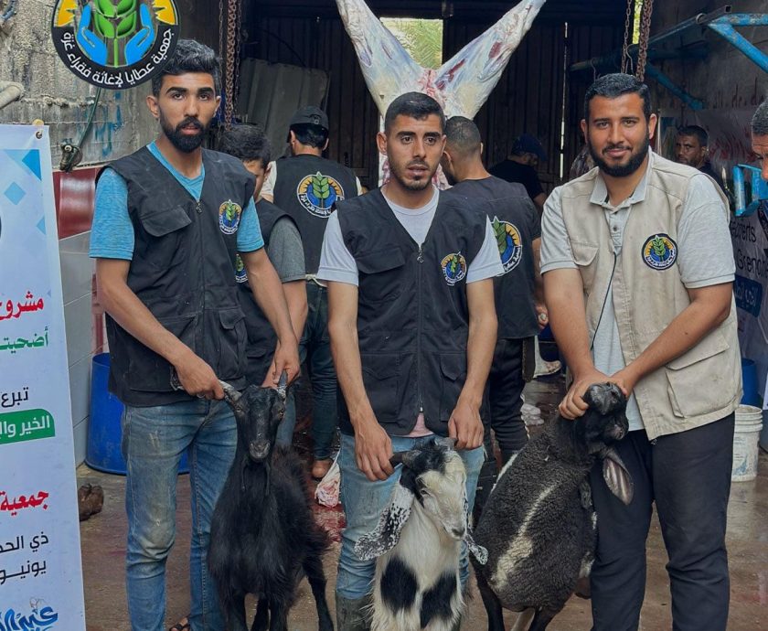 3f79dd48-4816-44ed-8987-3ba5f4491ade