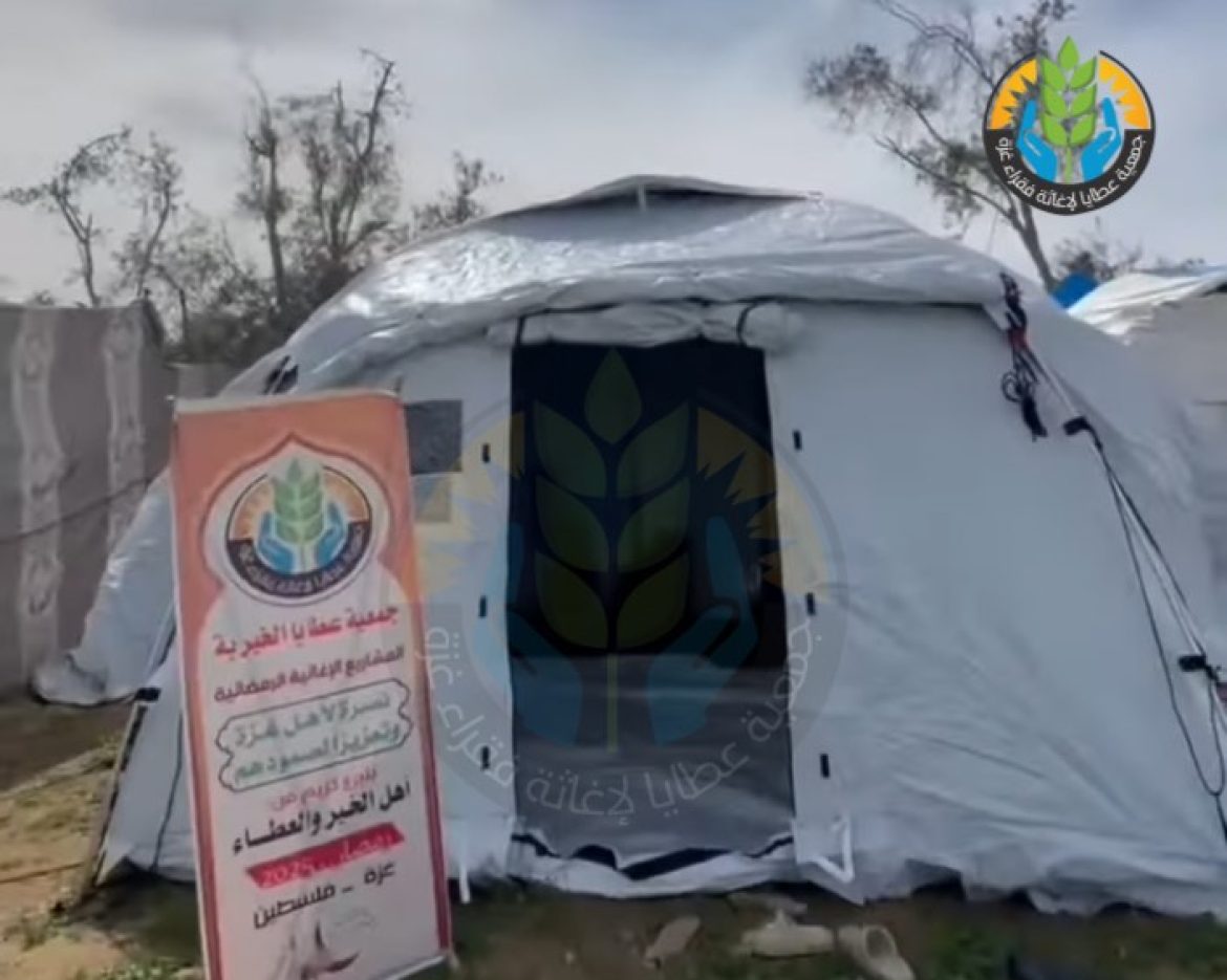 Untitled design – 1