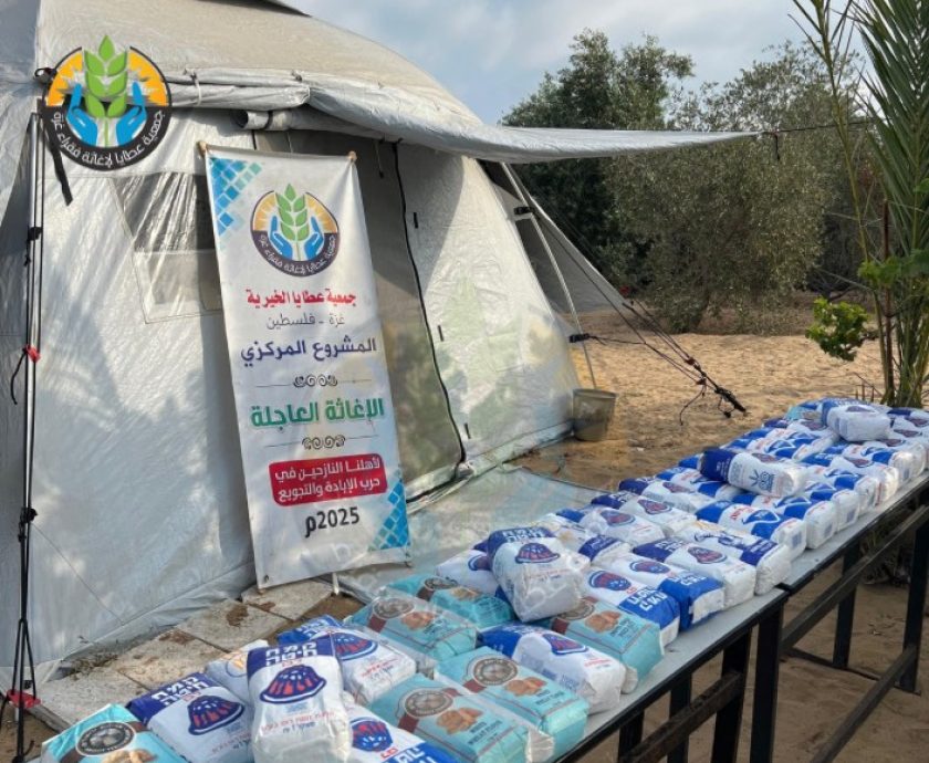 Untitled design – 1